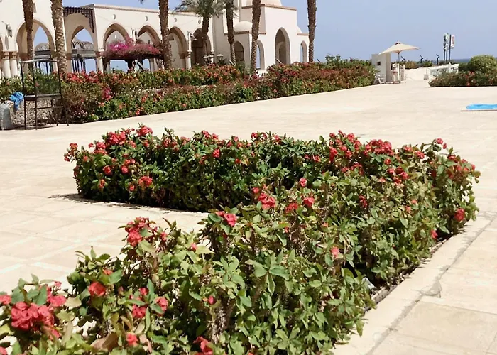 Palm Piazza Beachfront Lovely *
